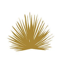 NAKEDPALM not on the high street logo. A detailed hand-drawn dried palm in a rustic gold colour set on a white background. 