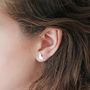 Sterling Silver Shiny Cat Stud Earrings, thumbnail 4 of 4