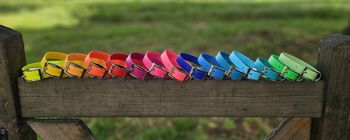 Biothane® Waterproof Dog Collar, 5 of 10