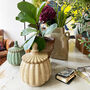 Pumpkin Jar Set, thumbnail 4 of 8