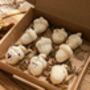 Roasted Chestnut Autumnal Wax Melt Box For Autumn Decor, thumbnail 4 of 7