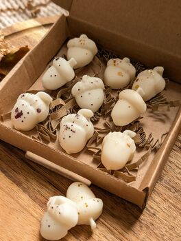 Roasted Chestnut Autumnal Wax Melt Box For Autumn Decor, 4 of 7