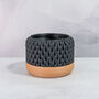 Carbon Ananas Planter, thumbnail 4 of 4
