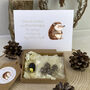 Personalised Mother's Day Hedgehog And Seeds In A Gift Box, thumbnail 2 of 3