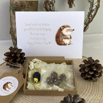 Personalised Mother's Day Hedgehog And Seeds In A Gift Box, 2 of 3