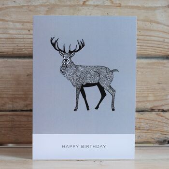 A Pack Of Four Or Eight Mixed Birthday Cards #Four, 2 of 5