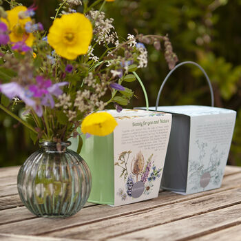 Grow Your Own Wildflower Bouquet And Vase Gift Set, 4 of 12