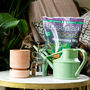The Ultimate Houseplant Lovers Gift Set, thumbnail 1 of 4