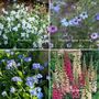Grow Your Own Flower Garden Wall Calendar 2024, thumbnail 9 of 10