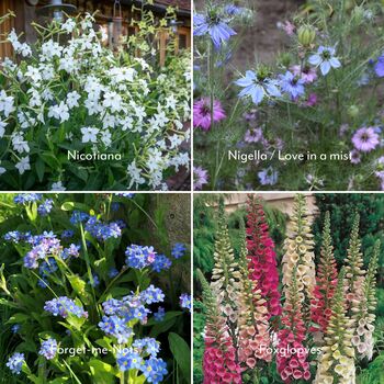 Grow Your Own Flower Garden Wall Calendar 2024, 9 of 10