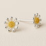 Sterling Silver Golden Daisy Stud Earrings, thumbnail 1 of 6
