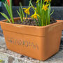 Personalised Fully Floral Terracotta Planter, thumbnail 2 of 2