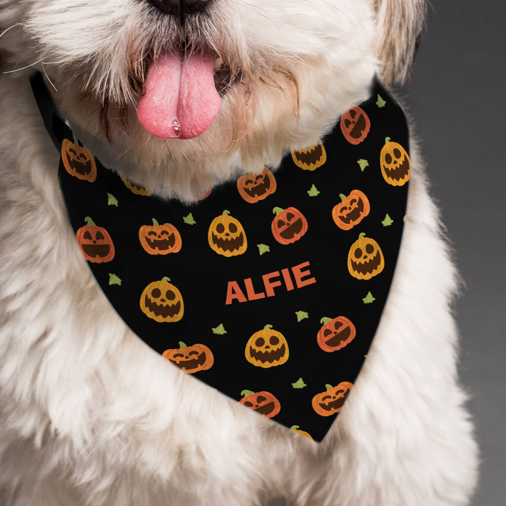 Personalised Pumpkin Patch Dog Bandana, 1 of 4