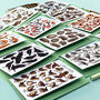 Wildlife Collective Nouns Greetings Card Pack, thumbnail 7 of 11