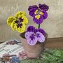 Pansy Beaded Flower Craft Kit, thumbnail 2 of 4
