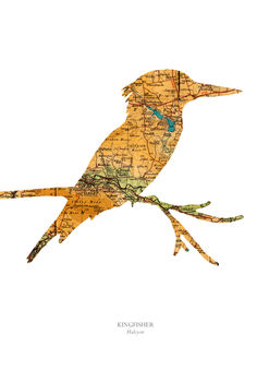 Personalised Kingfisher Map Print, 4 of 6