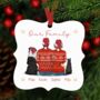 Personalised Pet Owner Bauble, thumbnail 1 of 12