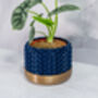 Midnight Stellar Planter, thumbnail 2 of 4