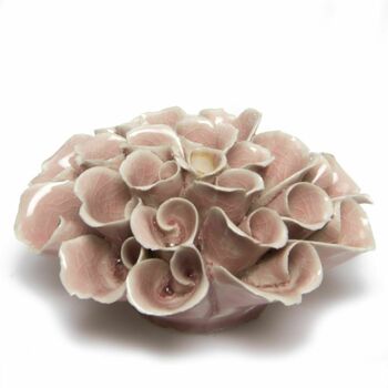 Ceramic Coral . Design Your Wall /Terrarium Garden, 3 of 12