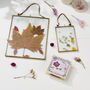 Personalised Flower Press And Frame Craft Kit, thumbnail 2 of 7