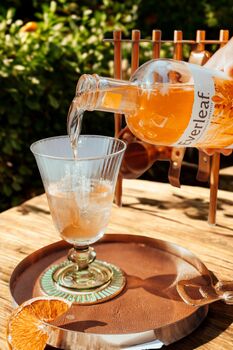 Alcohol Free Discovery Box For The Spritz Lovers, 7 of 9