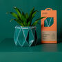 Origami Self Watering Eco Plant Pot: 11cm | Dark Teal, thumbnail 2 of 6