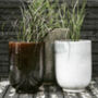Set Of Two Brown Glazed Planters, thumbnail 1 of 3