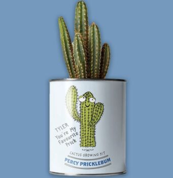 Personalised Percy Pricklebum. Grow Your Own Cacti Kit, 2 of 6