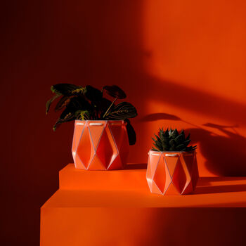 Origami Self Watering Eco Plant Pot: 15cm | Coral, 7 of 7