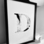 'Letter D' Linear Illustration Print, thumbnail 1 of 6