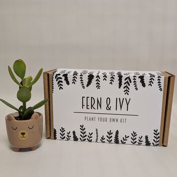 Plant Your Own Succulent Kit, 11 of 12