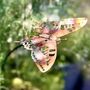 Large Copper Butterfly Garden Stake – Pure Copper Butterfly On Black Iron Pole – Outdoor Garden Art, thumbnail 3 of 6