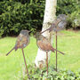Rusty Robin Garden Art. Iron Garden Ornament, thumbnail 4 of 6