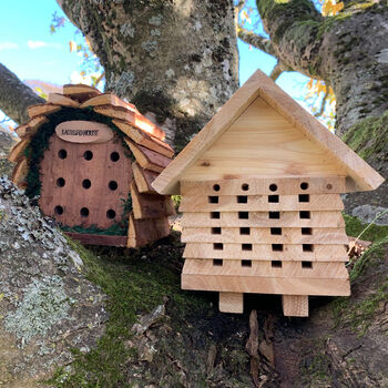 Busy Bee Hotel And Lucky Ladybird House Set, 2 of 8