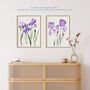 Set Three Wall Art Prints A4 Iris Floral Flowers Purple, thumbnail 7 of 7