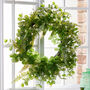 Enchanting Evergreen Deluxe Giant Wreath, thumbnail 1 of 6