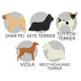 Personalised Dog Print Various Different Breeds, thumbnail 8 of 8