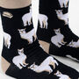 Bamboo Socks | Alpaca Socks | Farm Animal Socks | Llama, thumbnail 3 of 3