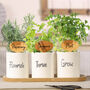Personalised Gin Herbs Plant Pots, thumbnail 1 of 9