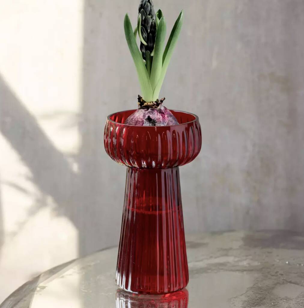Red Ribbed Hyacinth Vase, 1 of 4