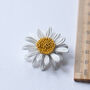 Teacher Thank You Gift Daisy Brooch On Bespoke Card, thumbnail 6 of 12