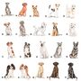 'Dogs Make Our Lives Whole' Dog Tin 80 Breeds Available, thumbnail 6 of 10