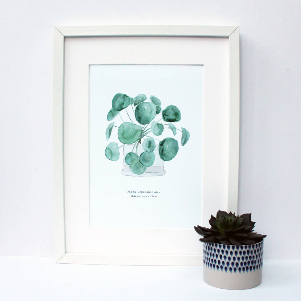 Chinese Money Plant Watercolour Print, 1 of 3