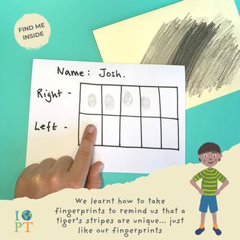 Children's Eco Activity Box: Terrific Tigers, 7 of 11