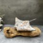 Multi Coloured Wooden Stingray On Teak Root Stand Gift, thumbnail 7 of 12