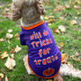 Halloween Tricks For Treats Dog Graphic T Shirt, thumbnail 1 of 5