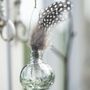 Mini Hanging Flower Glass Vases Set Of Five, thumbnail 1 of 6