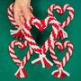 Heart Rope Dog Toy, thumbnail 1 of 1