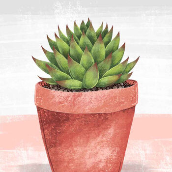 Echeveria Agavoides Illustrated Print, 4 of 5