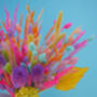 The Sherbert Macaroon Dried Flower Bunch, thumbnail 6 of 9